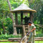 Zoo in Saigon