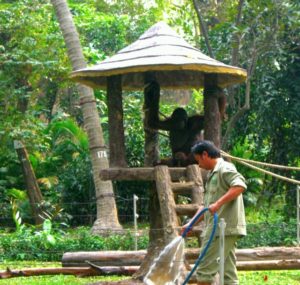 Zoo in Saigon