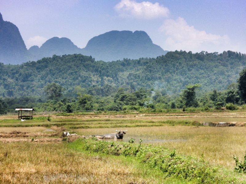 Vang Vieng - Laos 2013