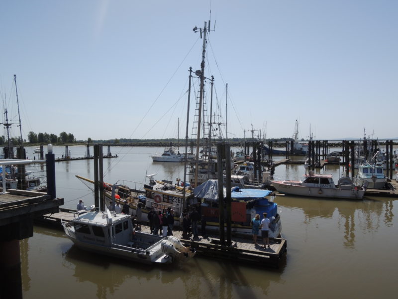 Steveston